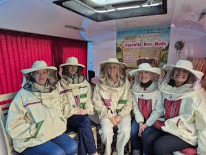 Island OrganiX / Valentia Bee Beds place picture